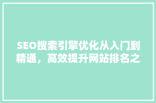 SEO搜索引擎优化从入门到精通，高效提升网站排名之路
