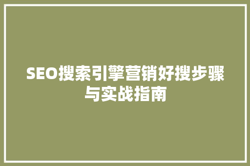 SEO搜索引擎营销好搜步骤与实战指南 MySQL