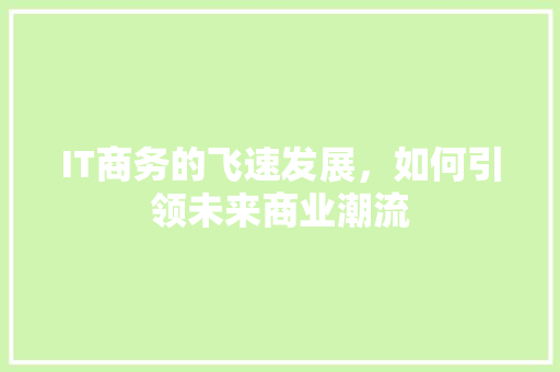 IT商务的飞速发展，如何引领未来商业潮流