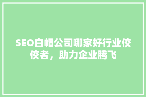 SEO白帽公司哪家好行业佼佼者，助力企业腾飞