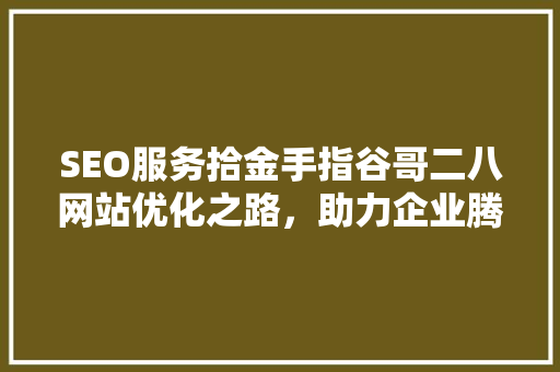 SEO服务拾金手指谷哥二八网站优化之路，助力企业腾飞