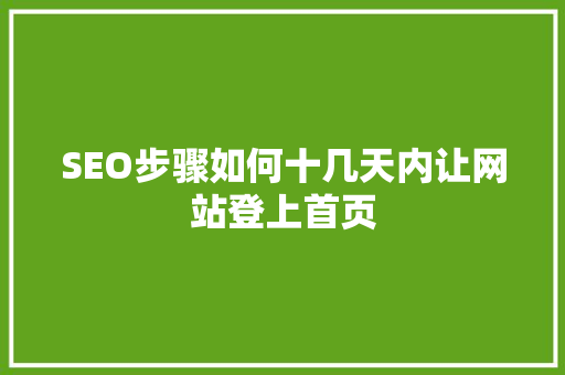 SEO步骤如何十几天内让网站登上首页