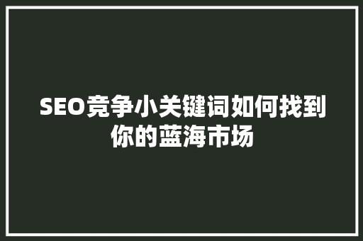 SEO竞争小关键词如何找到你的蓝海市场
