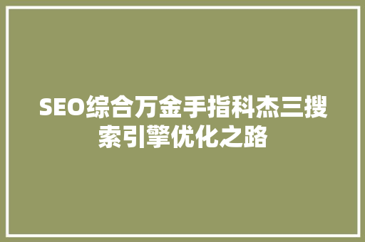SEO综合万金手指科杰三搜索引擎优化之路
