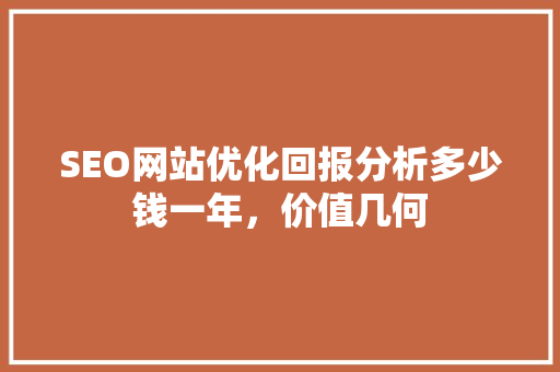 SEO网站优化回报分析多少钱一年，价值几何