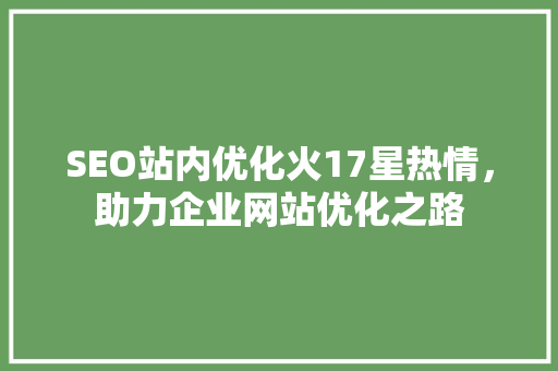 SEO站内优化火17星热情，助力企业网站优化之路