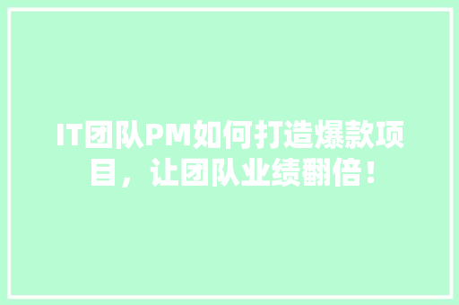 IT团队PM如何打造爆款项目，让团队业绩翻倍！ 后端技术