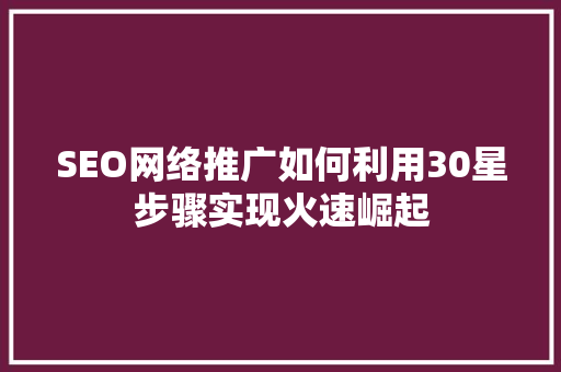 SEO网络推广如何利用30星步骤实现火速崛起