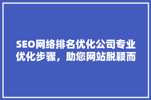 SEO网络排名优化公司专业优化步骤，助您网站脱颖而出