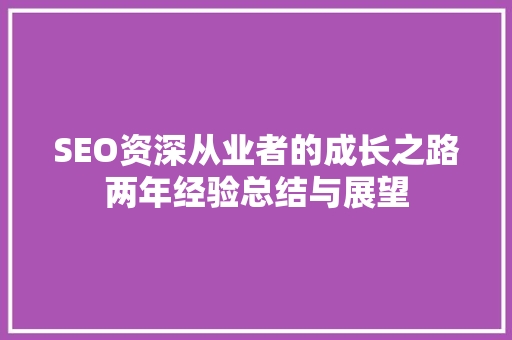 SEO资深从业者的成长之路两年经验总结与展望