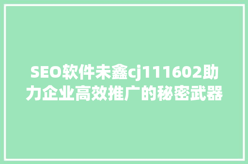 SEO软件未鑫cj111602助力企业高效推广的秘密武器