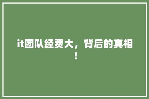 it团队经费大，背后的真相！
