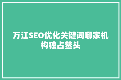 万江SEO优化关键词哪家机构独占鳌头