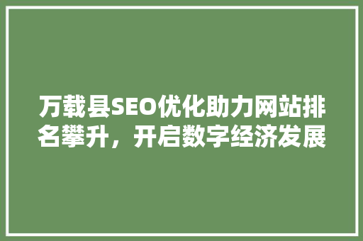万载县SEO优化助力网站排名攀升，开启数字经济发展新篇章