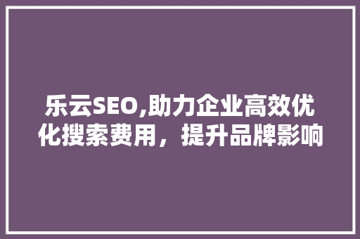 乐云SEO,助力企业高效优化搜索费用，提升品牌影响力