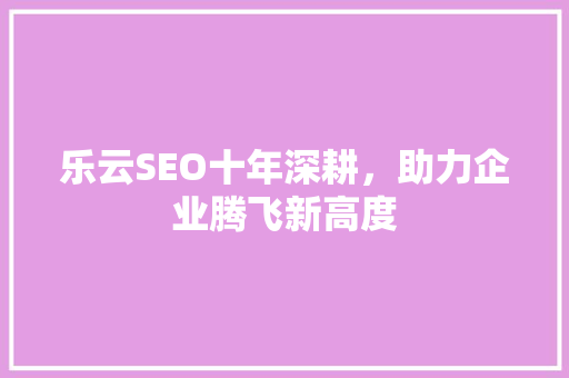 乐云SEO十年深耕，助力企业腾飞新高度