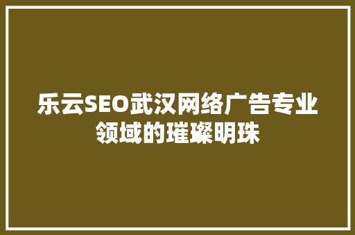乐云SEO武汉网络广告专业领域的璀璨明珠