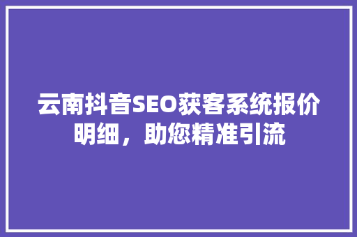 云南抖音SEO获客系统报价明细，助您精准引流