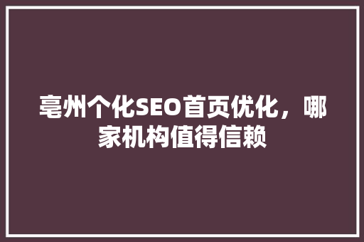 亳州个化SEO首页优化，哪家机构值得信赖
