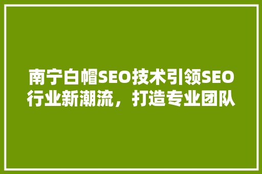 南宁白帽SEO技术引领SEO行业新潮流，打造专业团队助力企业腾飞