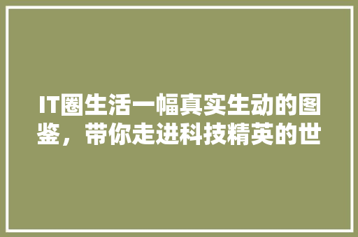 IT圈生活一幅真实生动的图鉴，带你走进科技精英的世界 商务信函