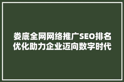 娄底全网网络推广SEO排名优化助力企业迈向数字时代