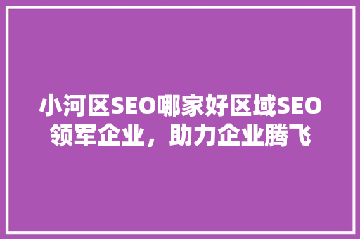小河区SEO哪家好区域SEO领军企业，助力企业腾飞