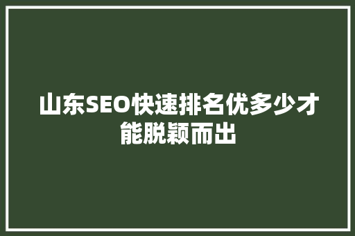 山东SEO快速排名优多少才能脱颖而出