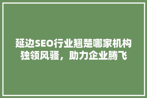 延边SEO行业翘楚哪家机构独领风骚，助力企业腾飞