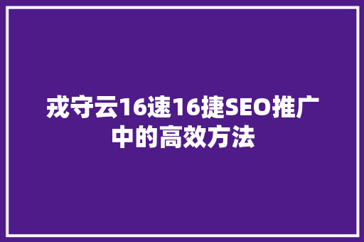 戎守云16速16捷SEO推广中的高效方法
