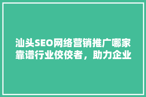 汕头SEO网络营销推广哪家靠谱行业佼佼者，助力企业腾飞