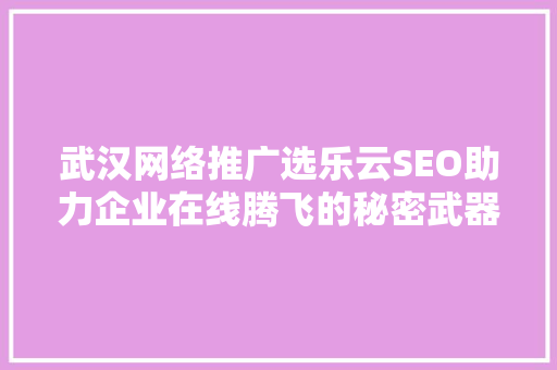 武汉网络推广选乐云SEO助力企业在线腾飞的秘密武器