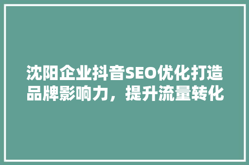 沈阳企业抖音SEO优化打造品牌影响力，提升流量转化