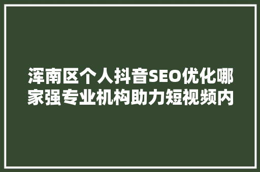 浑南区个人抖音SEO优化哪家强专业机构助力短视频内容脱颖而出