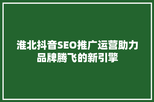 淮北抖音SEO推广运营助力品牌腾飞的新引擎