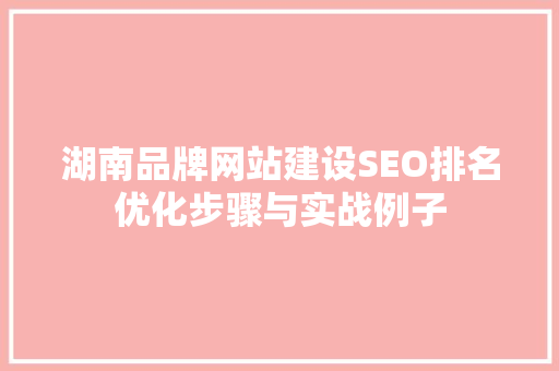 湖南品牌网站建设SEO排名优化步骤与实战例子