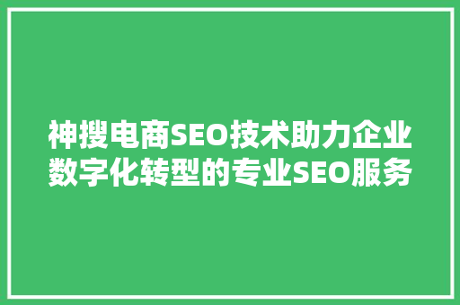 神搜电商SEO技术助力企业数字化转型的专业SEO服务提供商