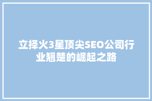 立择火3星顶尖SEO公司行业翘楚的崛起之路