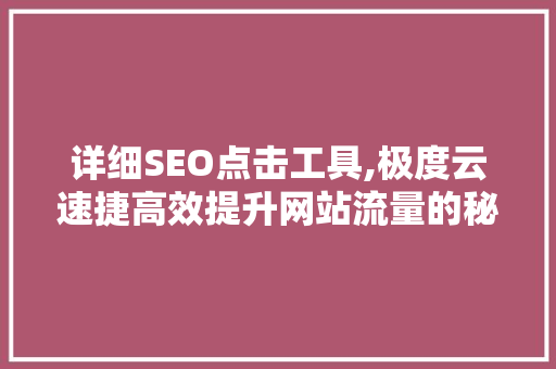 详细SEO点击工具,极度云速捷高效提升网站流量的秘密武器