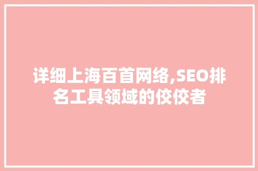 详细上海百首网络,SEO排名工具领域的佼佼者