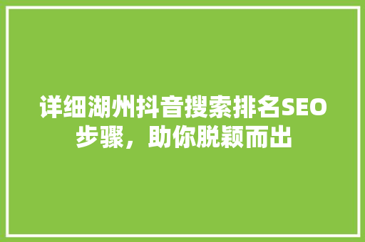 详细湖州抖音搜索排名SEO步骤，助你脱颖而出