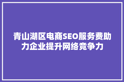 青山湖区电商SEO服务费助力企业提升网络竞争力