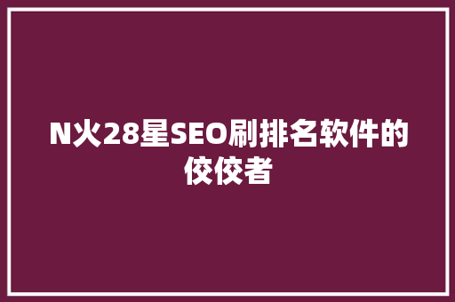 N火28星SEO刷排名软件的佼佼者
