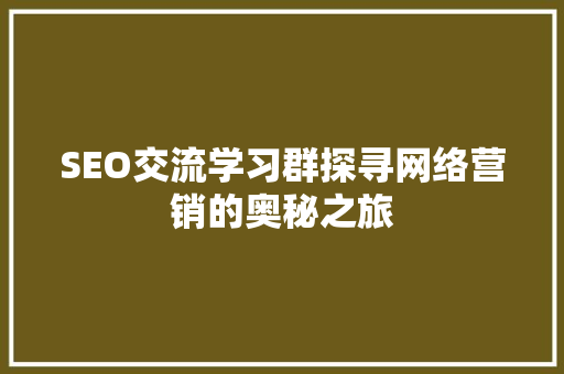 SEO交流学习群探寻网络营销的奥秘之旅