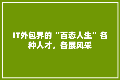 IT外包界的“百态人生”各种人才，各展风采 MySQL