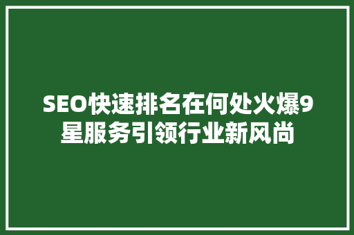 SEO快速排名在何处火爆9星服务引领行业新风尚