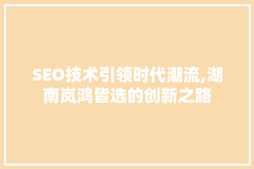 SEO技术引领时代潮流,湖南岚鸿皆选的创新之路