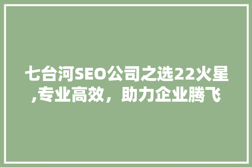 七台河SEO公司之选22火星,专业高效，助力企业腾飞