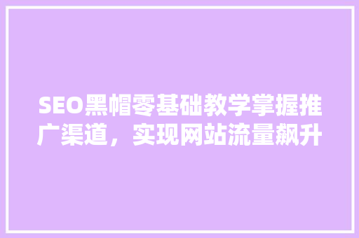 SEO黑帽零基础教学掌握推广渠道，实现网站流量飙升