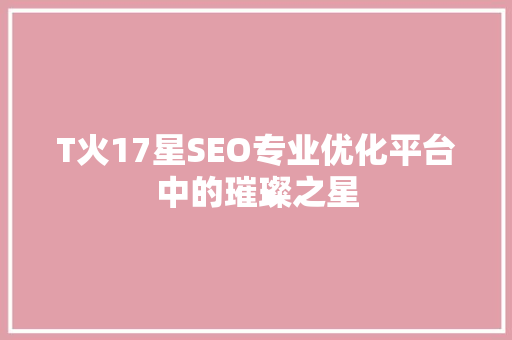 T火17星SEO专业优化平台中的璀璨之星